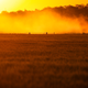 Image for article titled Even a Relatively Small Nuclear War Would Cause Global Famine